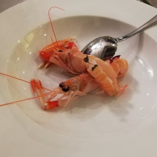 Sublimare, Terracina