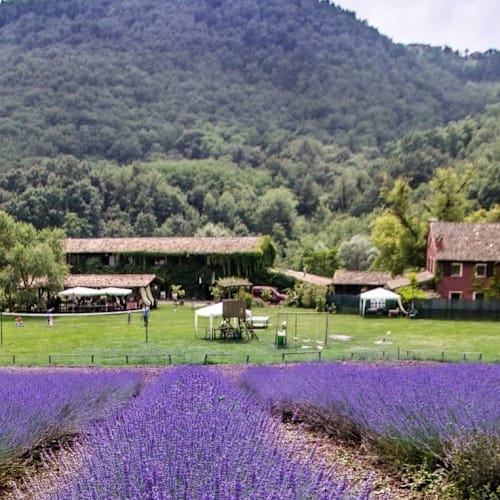Agriturismo Boccapane, Ruino