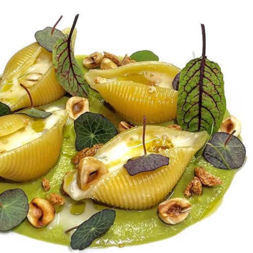 Casal Cocceio, Ceccano