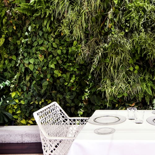 La Terraza del Claris - Hotel Claris, Barcelona