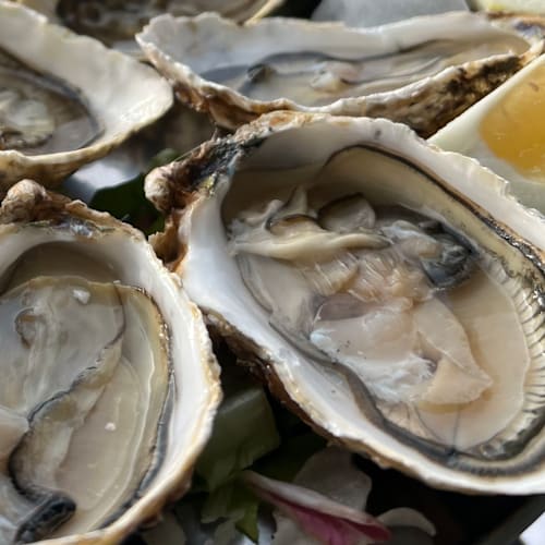 MAA Ristorante Seafood & Lounge bar, Civitavecchia