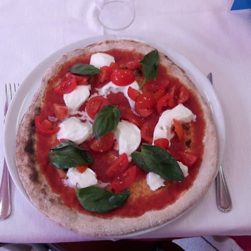 Genovese 2, Lodi
