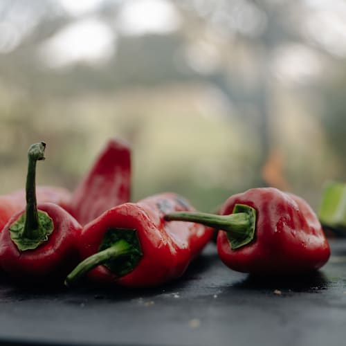 Bryn Williams at the Cambrian, Adelboden