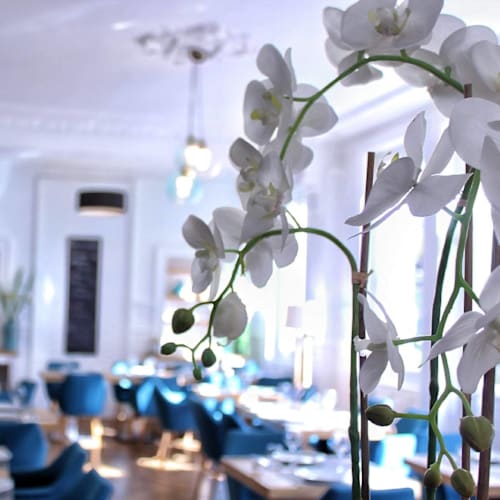 O Comptoir, Bourg-en-Bresse