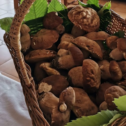 Trattoria Bistro da Franca, Roatta