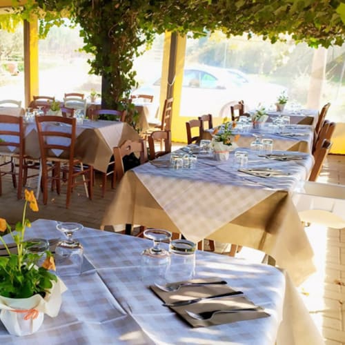 Agriturismo La Casa Di Campagna, Magione