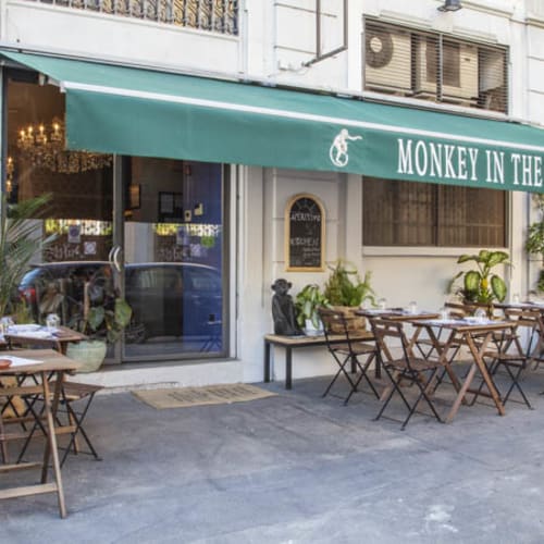 Monkey in The City, Milano