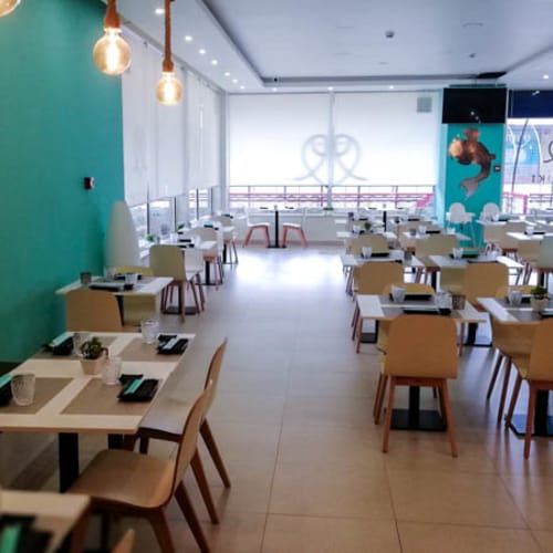 Daisuki - Carnaxide, Carnaxide