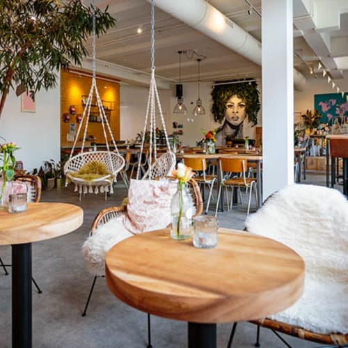 LOT&DAAN, Rotterdam