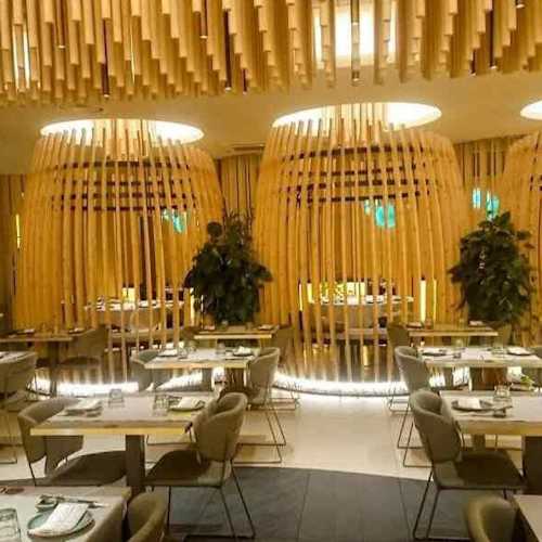 Hotate Sushi Novara, Cameriano