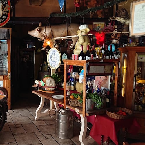 Gallo Matto, Roma