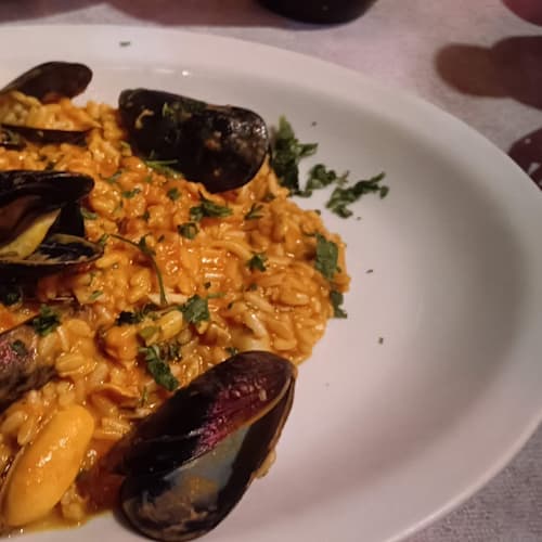 Gallo Matto, Roma