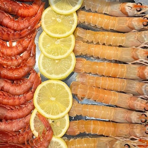STOPESCE, Milano