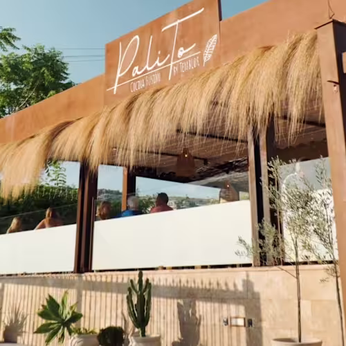 Palito by Temblor, Xàbia