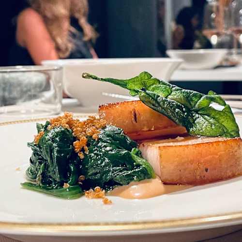 Farinata con cucina, Savona