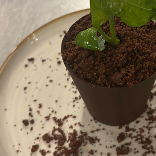 L´Arome, Caluire-et-Cuire