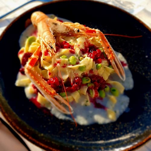 Cusin del Mar, Livorno