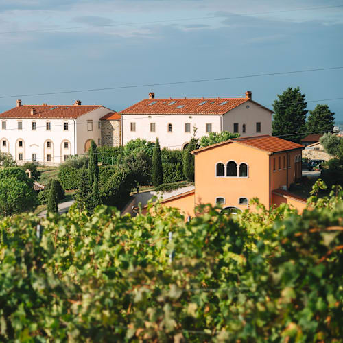 Enoteca Pakravan Papi, Riparbella