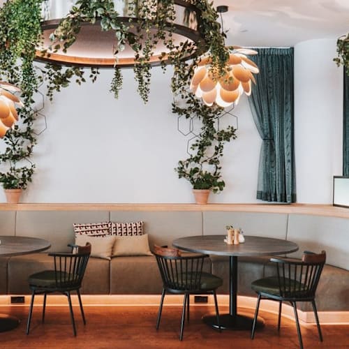 Botanica, Den Haag