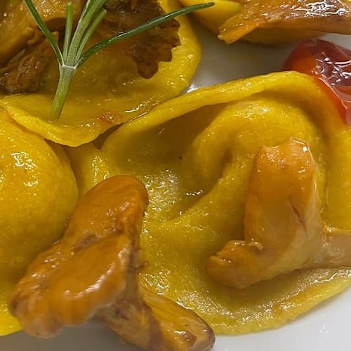 Plug Bistrot, Fondi