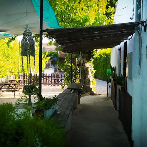Los Pájaros Ateneo Huertano, La Arboleja