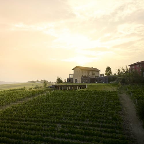 Radici Ristorante in  Vigna, Pasquana