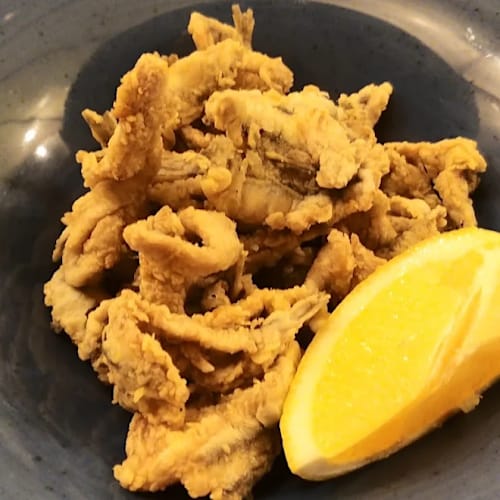 Radical Fish da Mastrilli, Terracina