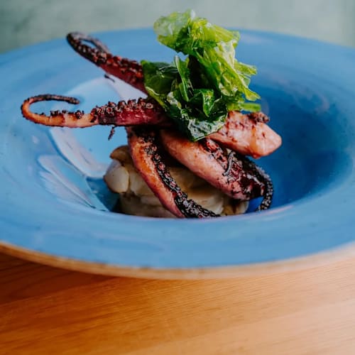 Radical Fish da Mastrilli, Terracina