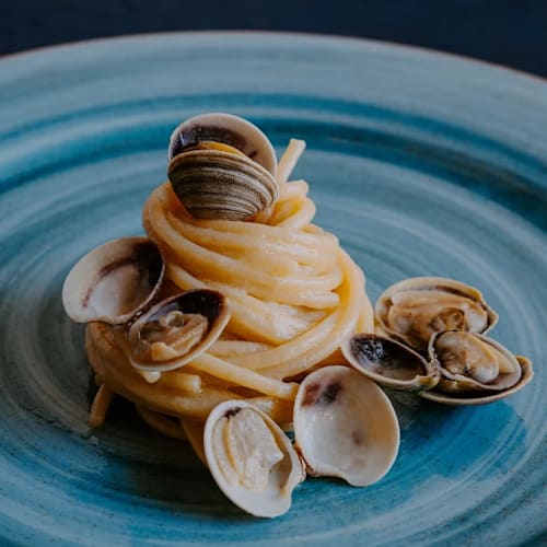 Radical Fish da Mastrilli, Terracina