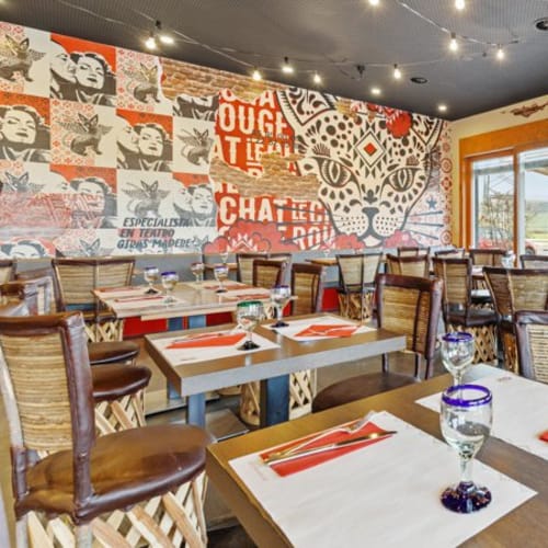 Le Chat Rouge - Satigny, Satigny