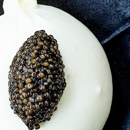 Caviar House & Prunier, Genève
