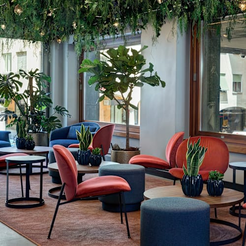 Flamel Mixology Bar, Lugano