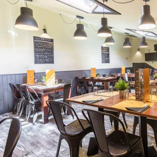 Tribe Pub, Allumiere