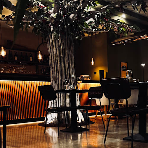 Alchimia - Wine & Fusion Tasting, Nola