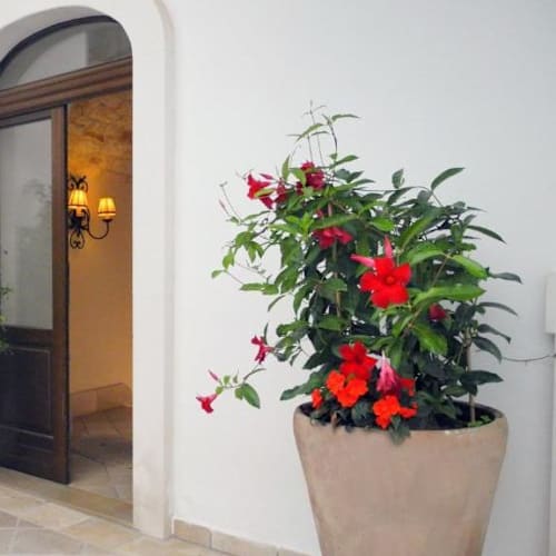 Hostaria Antica Posada, Ostuni