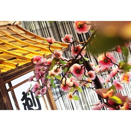 Shogun Sushi, Levallois-Perret