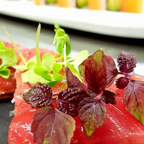 Oni Japanese Dining, Den Haag