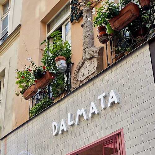Dalmata, Paris