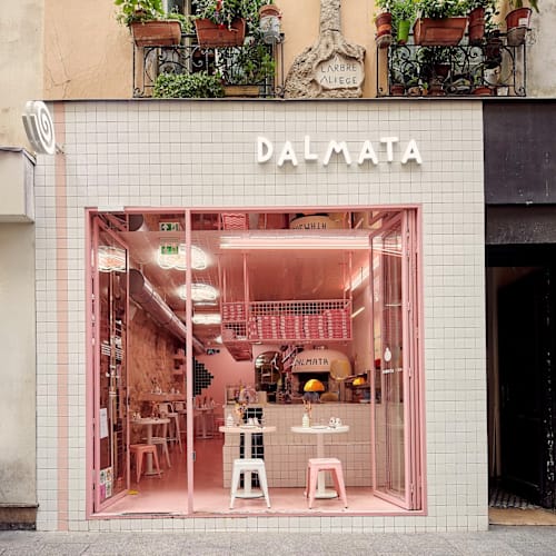 Dalmata, Paris