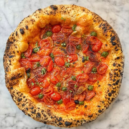 Dalmata, Paris
