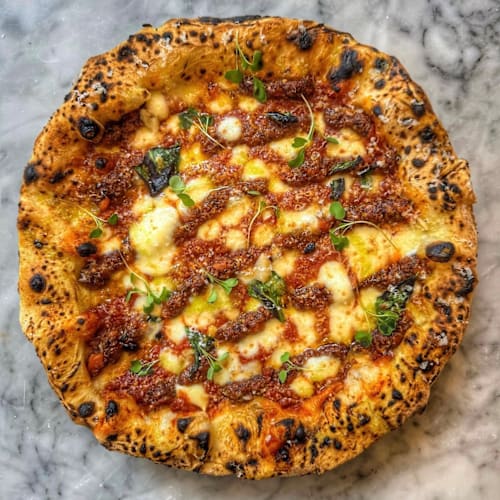 Dalmata, Paris