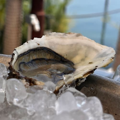 Le Petit Bistrot, Sète