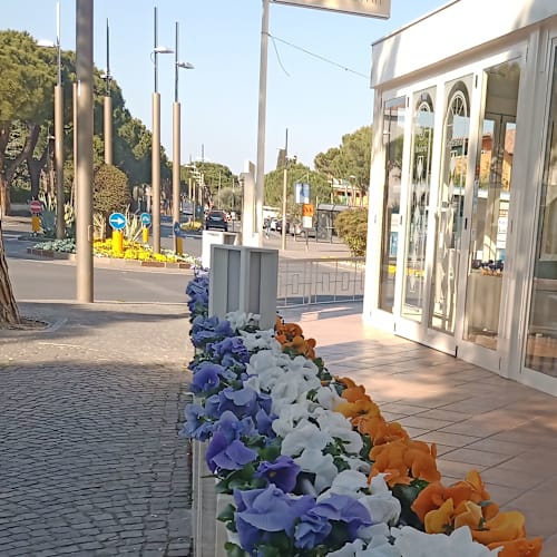 Cilento, Sirmione