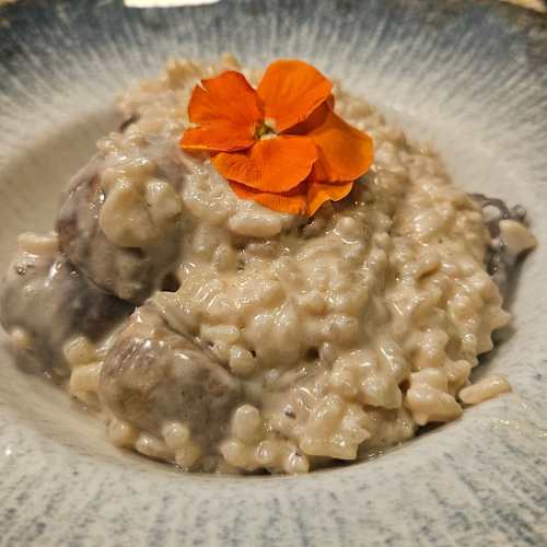 Restaurante Pizzeria La Lleona, Reus