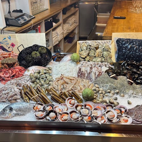 Octopus Migdia, Girona