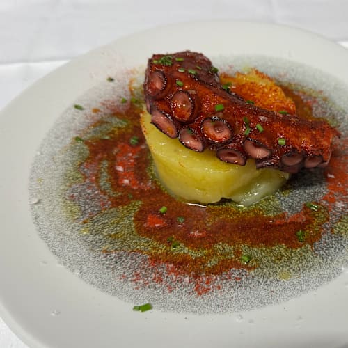 Octopus Migdia, Girona