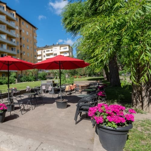 Himmelska Hundar, Stockholm