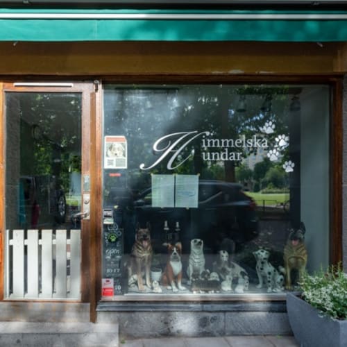 Himmelska Hundar, Stockholm