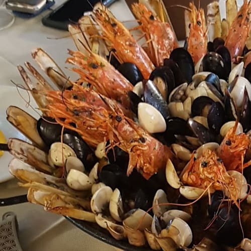 L' Elite9, Grugliasco