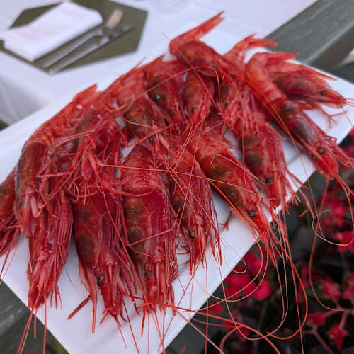 Alici Cucina Mediterranea, Capaccio